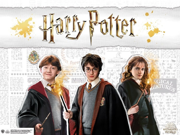 Harry Potter Merchandise